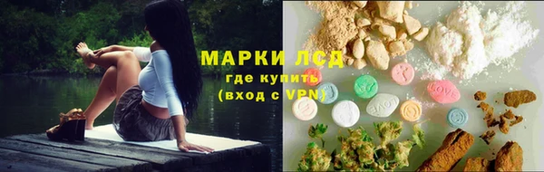 прущие грибы Тольятти