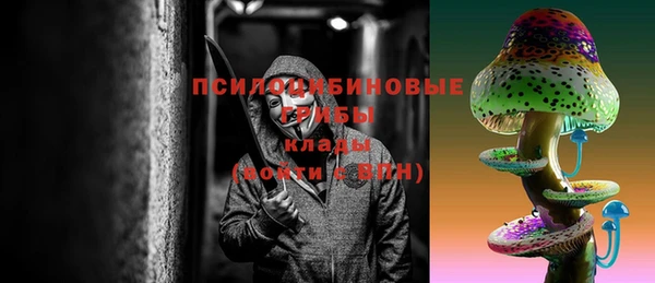 МДМА Каменногорск