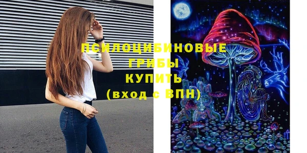 метадон Каменка