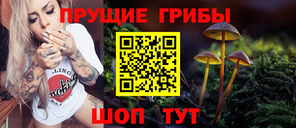 Рославль  продажа наркотиков  Вход с VPN  Псилоцибиновые грибы Psilocybine cubensis 
